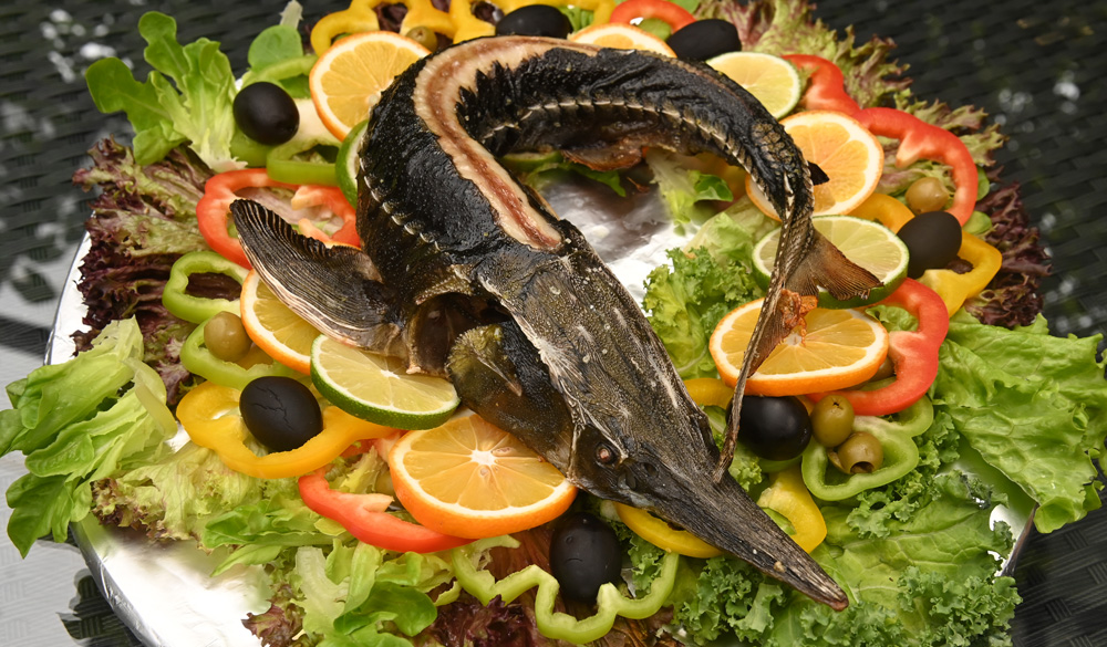 Банкетные горячие блюда из рыбы занимают одно из самых главных блюд. Зависит от рыбы и от способа и сложности её подачи.